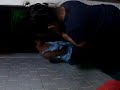 los gay mas gay de san pancho los gay mas gay de san pancho