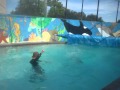 More cannonball fun.