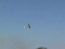 Rookie Heli Fly-In Falcon 3D and TREX Part 2 of 3