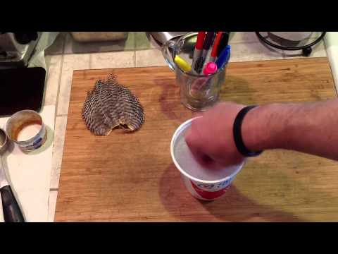 how to dye turkey feathers