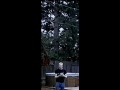 10 balls 11 catches asynch fountain
