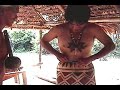 Sundrenched pt 1: Dave and the Bora Tribe in the Amazon Sundrenched pt 1: Dave and the Bora Tribe in the Amazon