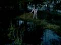 the-reflex