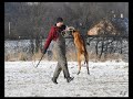 Ax Sarah Moravia protection with obedience Ax Sarah Moravia protection with obedience