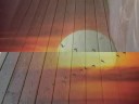 un strop de optimism