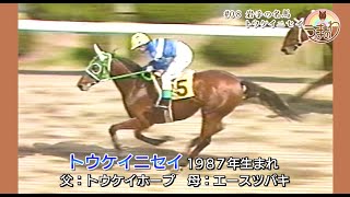 #08　岩手の名馬トウケイニセイ