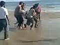 Cricket mai punga....