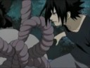 team 7 tribute