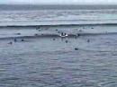 deaf surf in santa cruz 2005