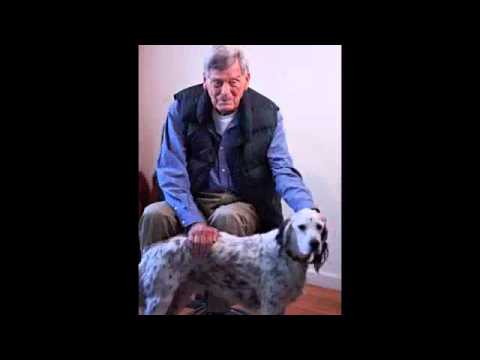 how to cure orchitis