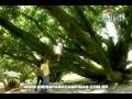 videos de Cláudia Bertazzo - Comercial