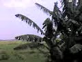 Bombay to Goa Bombay to Goa