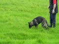 Karma tracking