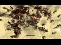Nation-Red-Pc-Gamepl