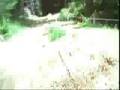 whistler mtb - dirt merchant - helmetcam