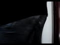 Sagger with silk  boxer   shorts