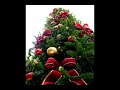 Hino de Natal