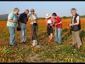 Click here to watch this video Namaqua Blumenpracht.wmv