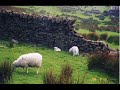 Welsh Folk Song The Shepherd of Aberdovey