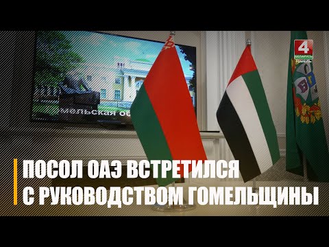 Дубай хочуць зрабіць горадам-пабрацімам Гомеля видео