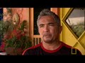 Dog Whisperer: Sasha and Angler Dog Whisperer: Sasha and Angler