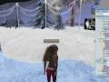 Winter Holidays Linden Snowfight 1