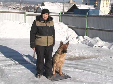 YouTube Трейлер