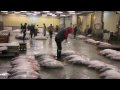 Tokyo, Tsukiji Fish Market and the famous Tuna Auction
