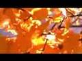 Change Of Seasons - Equinox - New Age Music Video - Autumn