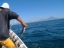 Pescadores Pescadores