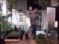 How to make a urban garden ? Ideas for plant wall, indoor garden and terrace