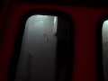 Fishing tip on Led lights. Bluewaterled.com