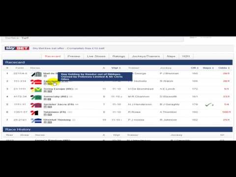 cheltenham tips