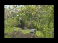 Click here to watch this video bIKE pARK eSCAZU