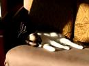 Snoozing in the sun