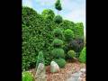 Celtic Music  - Pan-Flute Ogrody