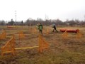Asta - agility.AVI