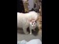Click here to watch this video ユネ解禁！