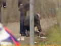 Babylijkje gevonden in Oosterhout