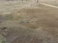 FG marder jump