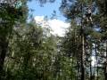 videos de Tarzan hans