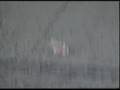 Mouse Launch