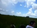 Everglades