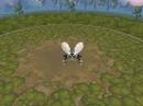 iFly (SPORE)