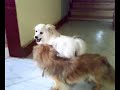 funny-stuff-4.html