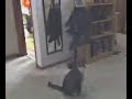 Video from My Phone (04-01-06_0133.wmv)