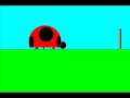 ladybug