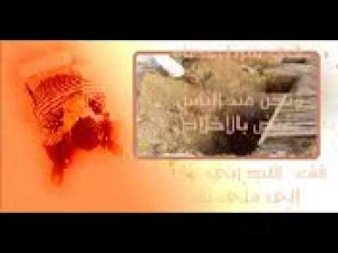 طيظ