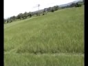 Kaziranga