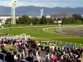 京都競馬G1マイルチャンピオンシップ2011エイシンアポロン